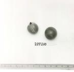 Click for 1 image(s) for this accession. FRUIT